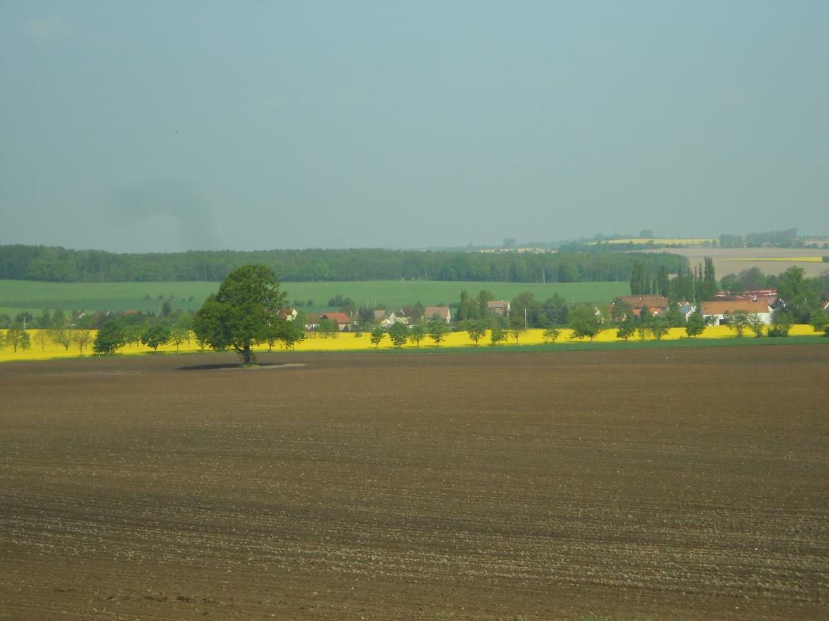 Gastehaus Schirner Hotell Niederau Exteriör bild